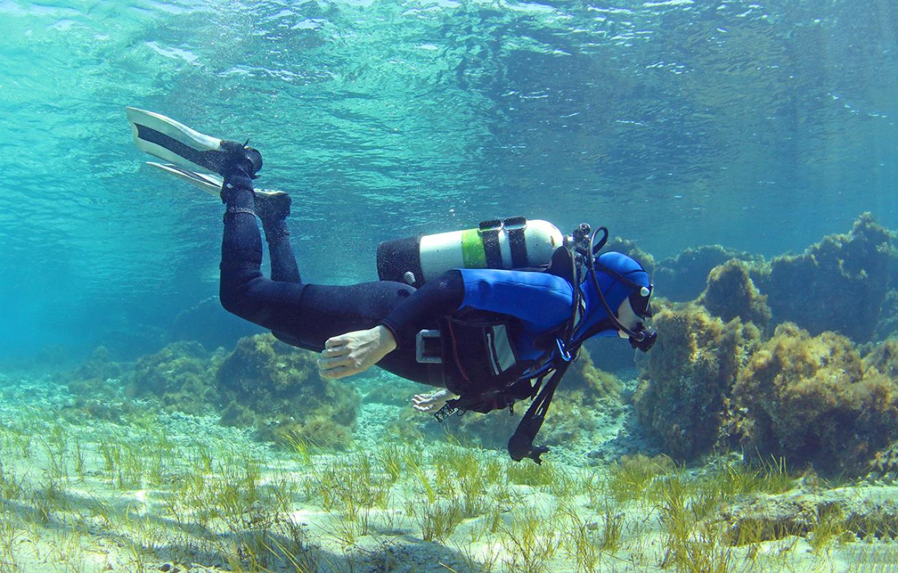 Mediterranean Diving: A Journey Underwater
