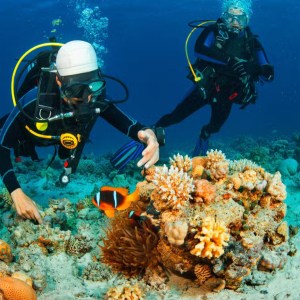 Alanya Scuba Diving