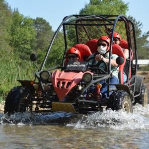 Buggy/Quad SafariAdventure – Ride into the Wild!